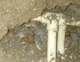 大悟卫生间测漏