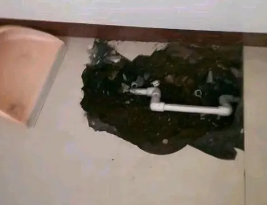 大悟卫生间测漏水多少钱